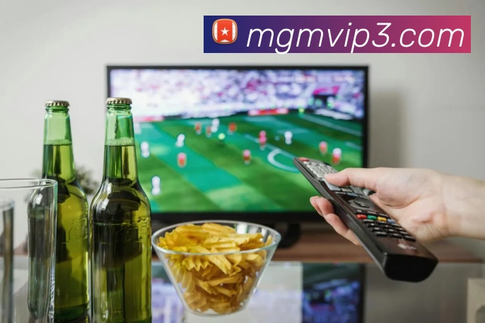 美高梅官网首页APP 封面图